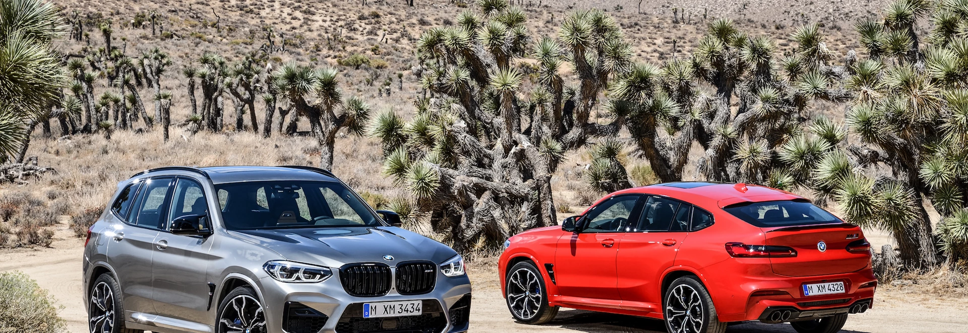 2019 BMW X3 M and X4 M revealed